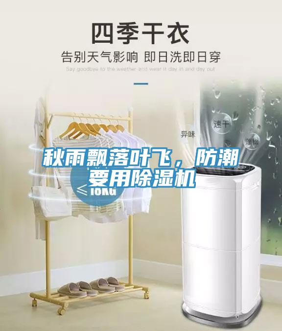 秋雨飘落叶飞，防潮要用除湿机
