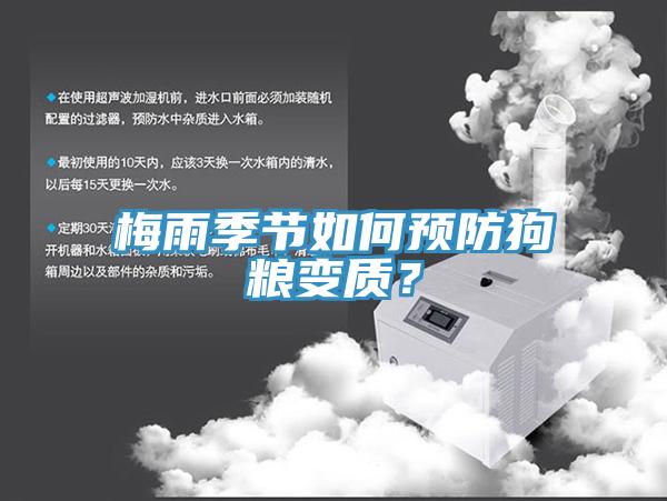 梅雨季节如何预防狗粮变质？