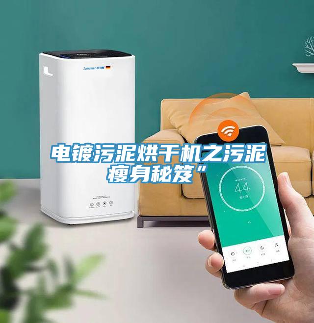 电镀污泥烘干机之污泥瘦身秘笈”