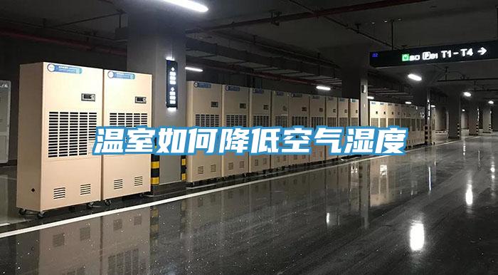 温室如何降低空气湿度