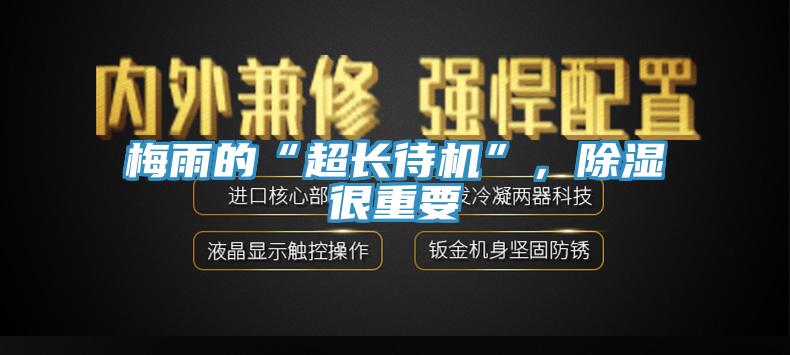 梅雨的“超长待机”，除湿很重要