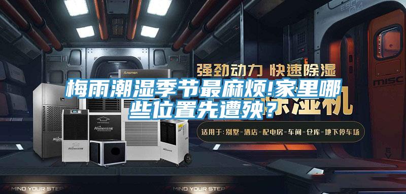 梅雨潮湿季节最麻烦!家里哪些位置先遭殃？