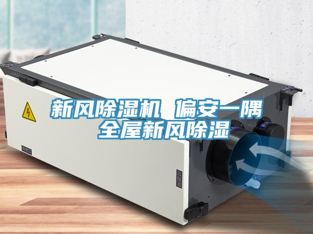 新风除湿机 偏安一隅 全屋新风除湿