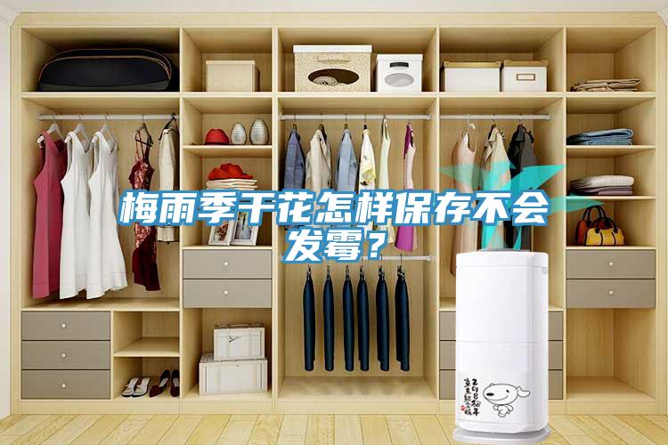 梅雨季干花怎样保存不会发霉？