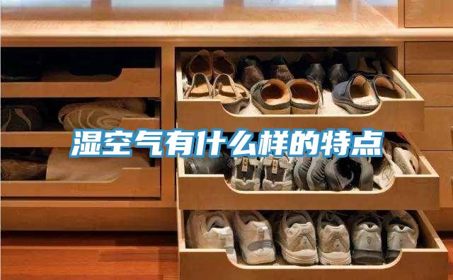 湿空气有什么样的特点