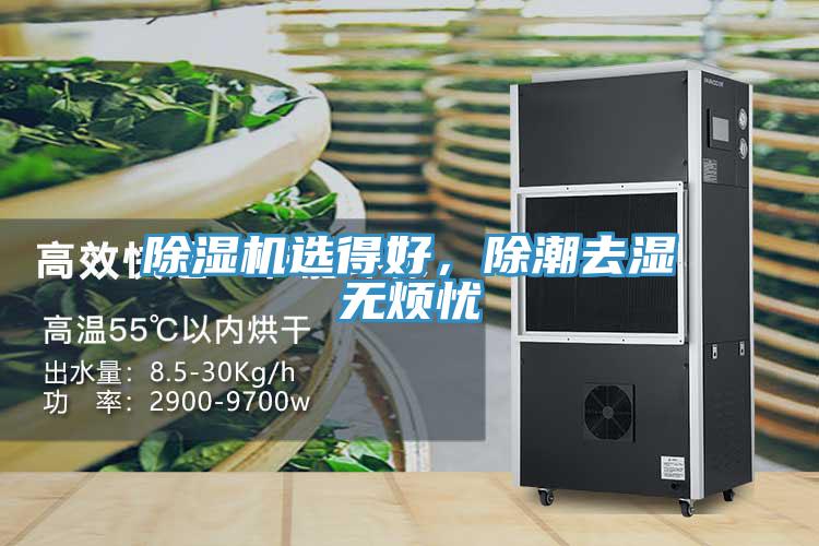 除湿机选得好，除潮去湿无烦忧