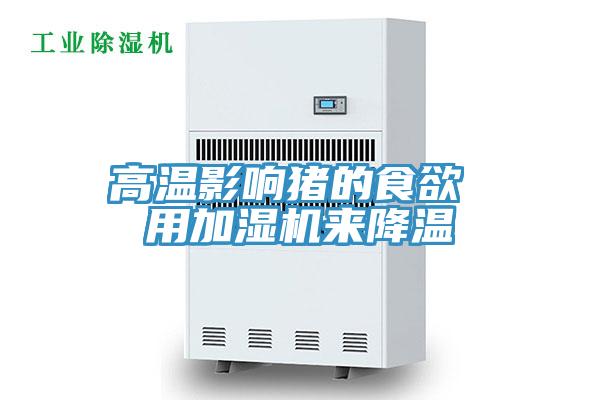 高温影响猪的食欲 用加湿机来降温