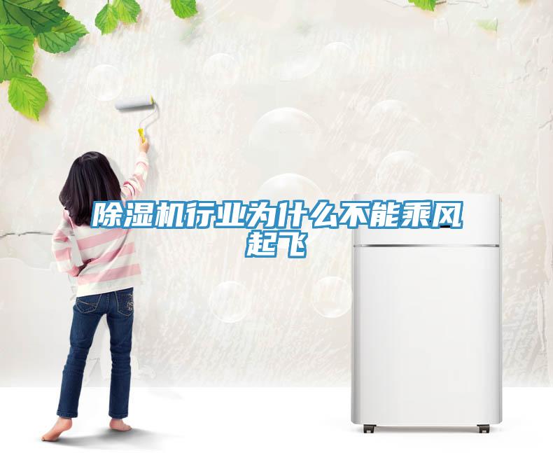 除湿机行业为什么不能乘风起飞