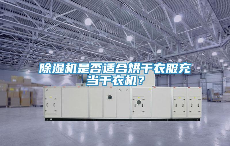 除湿机是否适合烘干衣服充当干衣机？