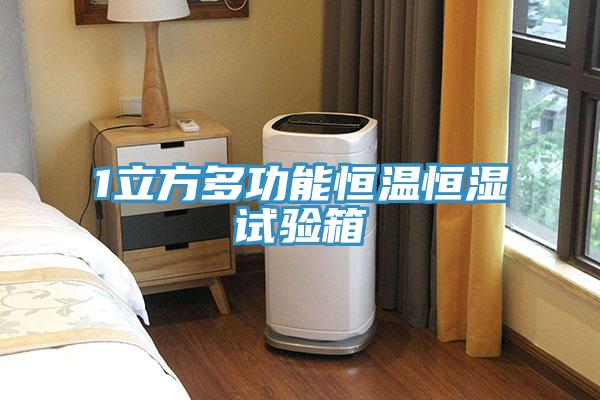 1立方多功能恒温恒湿试验箱