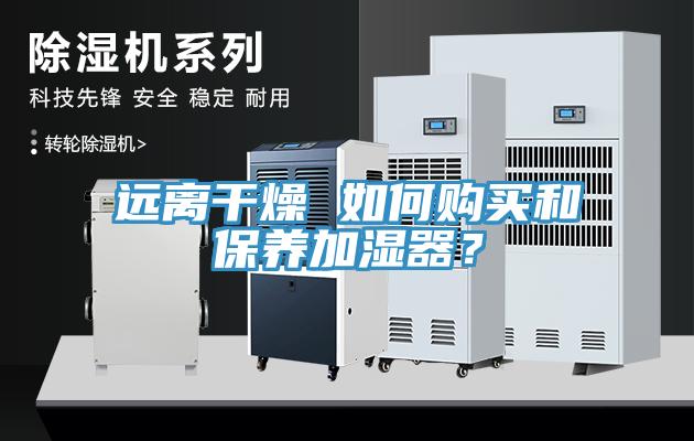 远离干燥 如何购买和保养加湿器？