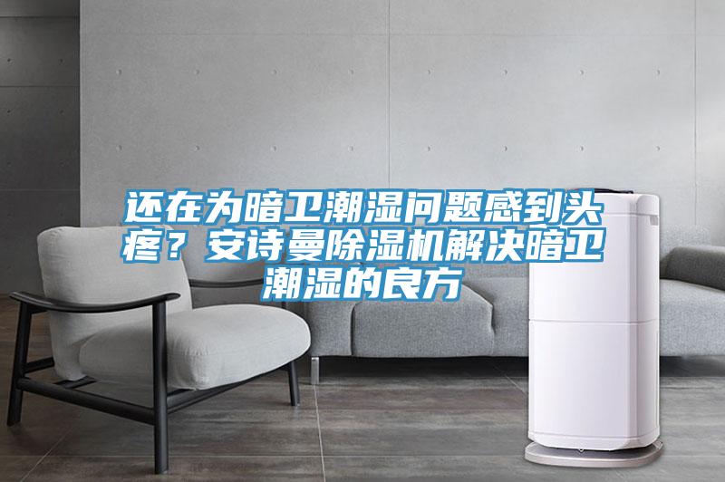 还在为暗卫潮湿问题感到头疼？安诗曼除湿机解决暗卫潮湿的良方