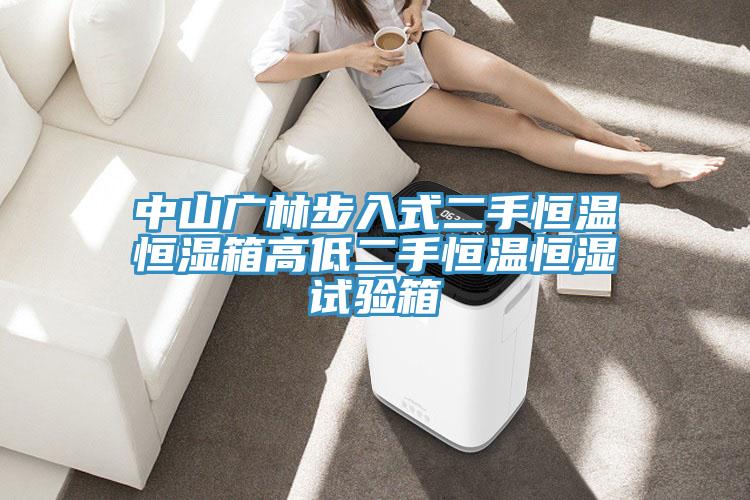 中山广林步入式二手恒温恒湿箱高低二手恒温恒湿试验箱