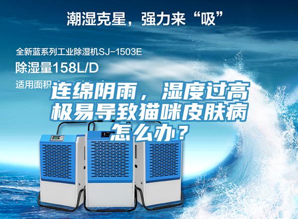 连绵阴雨，湿度过高极易导致猫咪皮肤病怎么办？