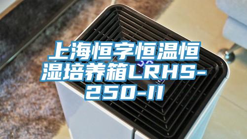 上海恒字恒温恒湿培养箱LRHS-250-II