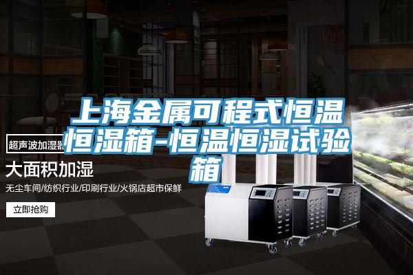 上海金属可程式恒温恒湿箱-恒温恒湿试验箱