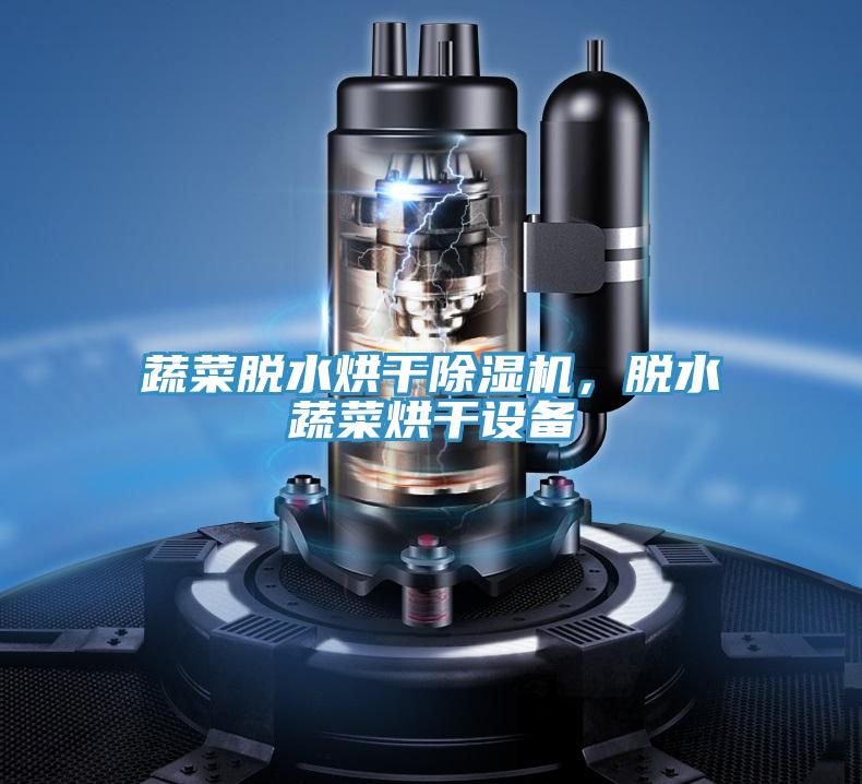 蔬菜脱水烘干除湿机，脱水蔬菜烘干设备