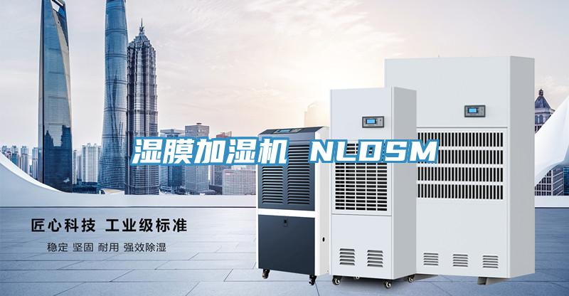 湿膜加湿机 NLDSM