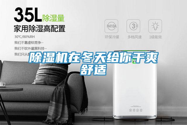 除湿机在冬天给你干爽舒适