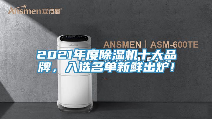 2021年度除湿机十大品牌，入选名单新鲜出炉！