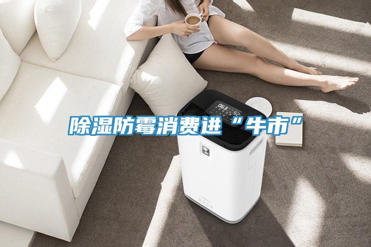除湿防霉消费进“牛市”