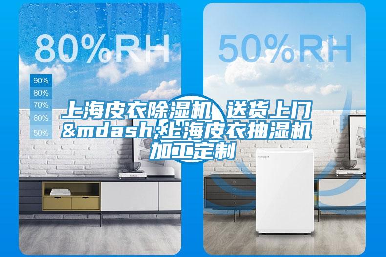 上海皮衣除湿机 送货上门 —上海皮衣抽湿机 加工定制