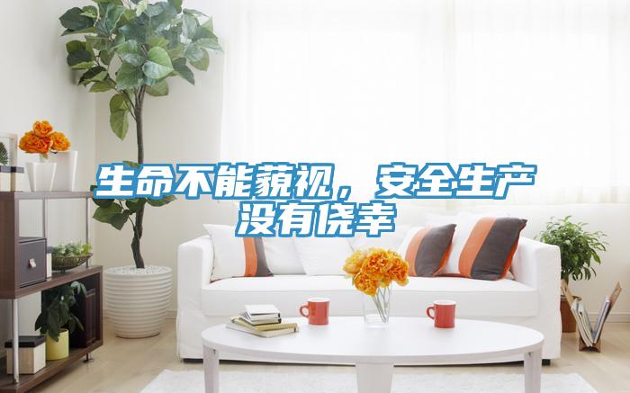 生命不能藐视，安全生产没有侥幸