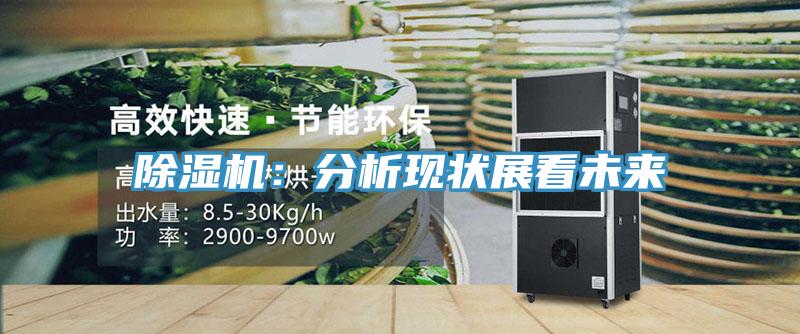 除湿机：分析现状展看未来