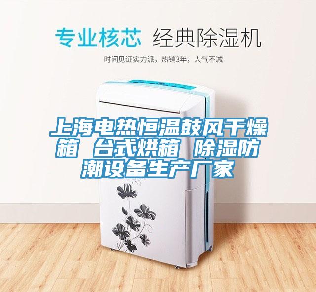 上海电热恒温鼓风干燥箱 台式烘箱 除湿防潮设备生产厂家