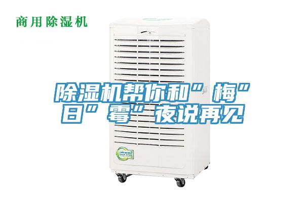 除湿机帮你和”梅”日”霉”夜说再见