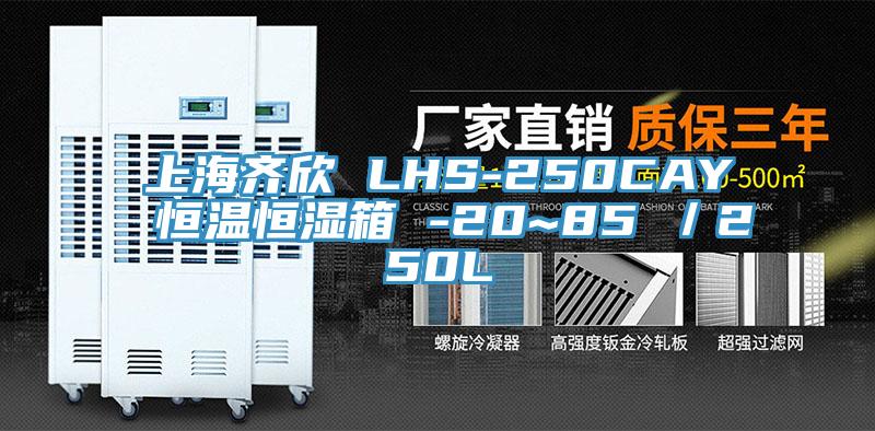 上海齐欣 LHS-250CAY 恒温恒湿箱 -20~85℃／250L