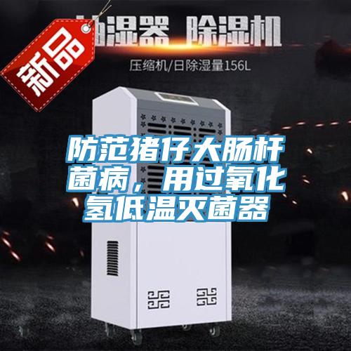 防范猪仔大肠杆菌病，用过氧化氢低温灭菌器