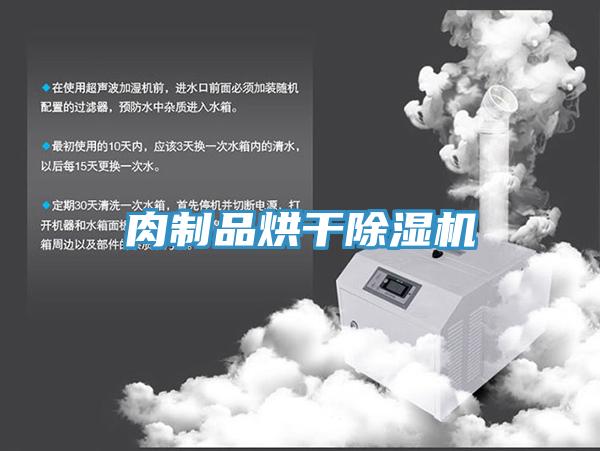 肉制品烘干除湿机