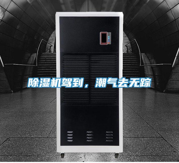 除湿机驾到，潮气去无踪