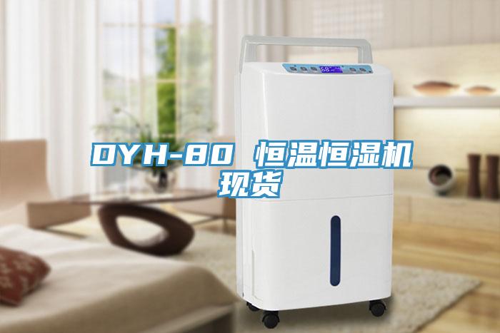 DYH-80 恒温恒湿机现货