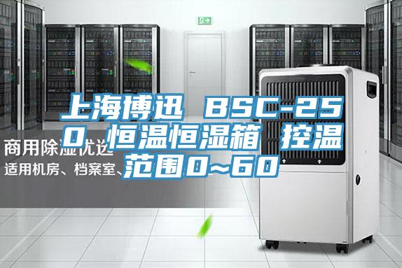 上海博迅 BSC-250 恒温恒湿箱 控温范围0~60℃