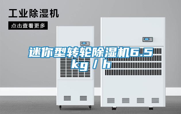 迷你型转轮除湿机6.5kg／h