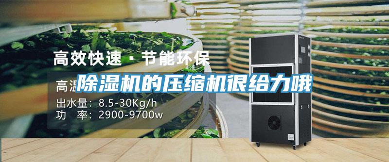 除湿机的压缩机很给力哦