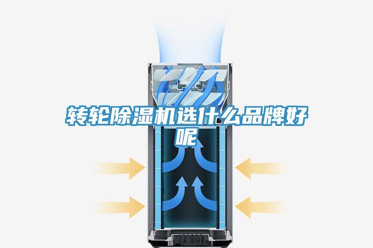转轮除湿机选什么品牌好呢