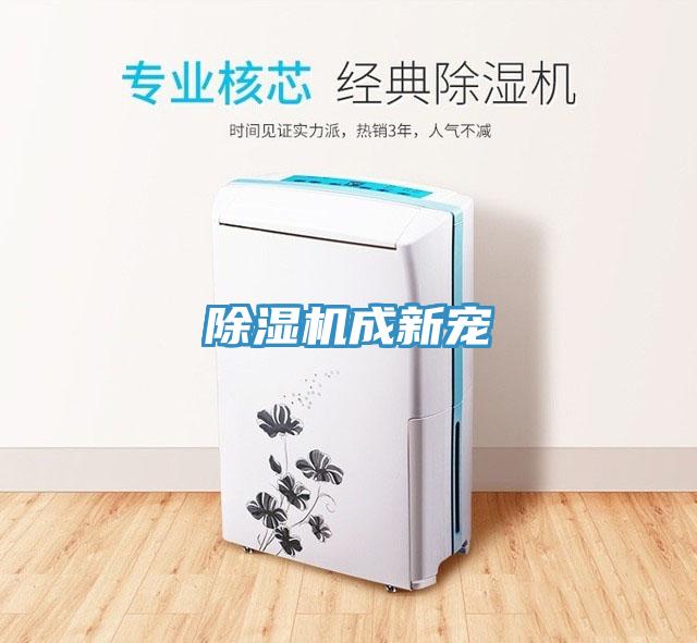 除湿机成新宠