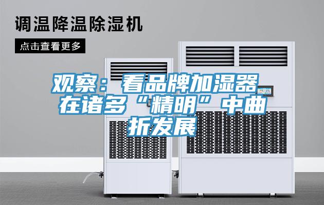 观察：看品牌加湿器 在诸多“精明”中曲折发展