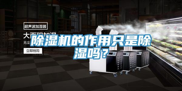 除湿机的作用只是除湿吗？