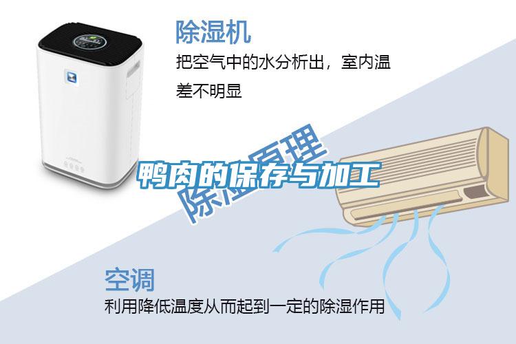 鸭肉的保存与加工
