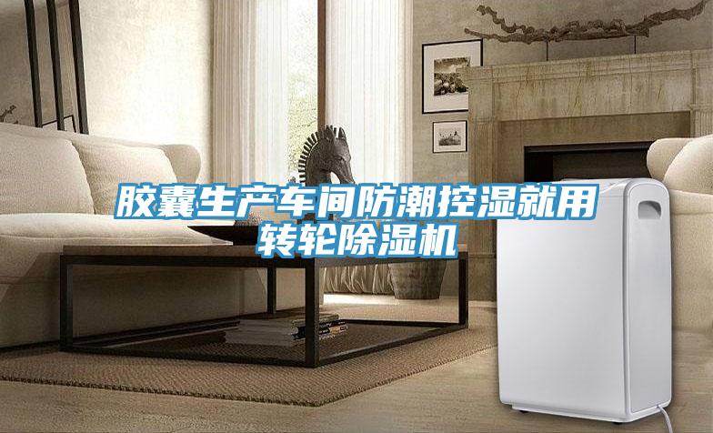 胶囊生产车间防潮控湿就用转轮除湿机