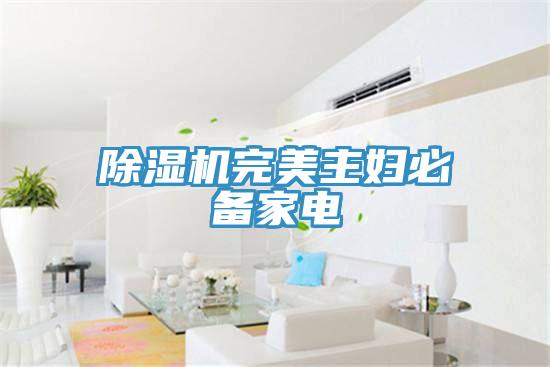 除湿机完美主妇必备家电