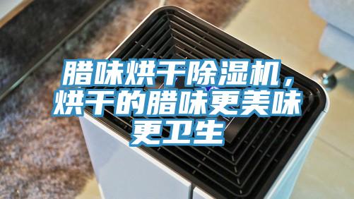 腊味烘干除湿机，烘干的腊味更美味更卫生