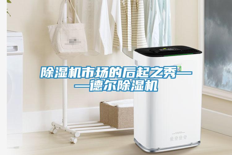 除湿机市场的后起之秀——德尔除湿机