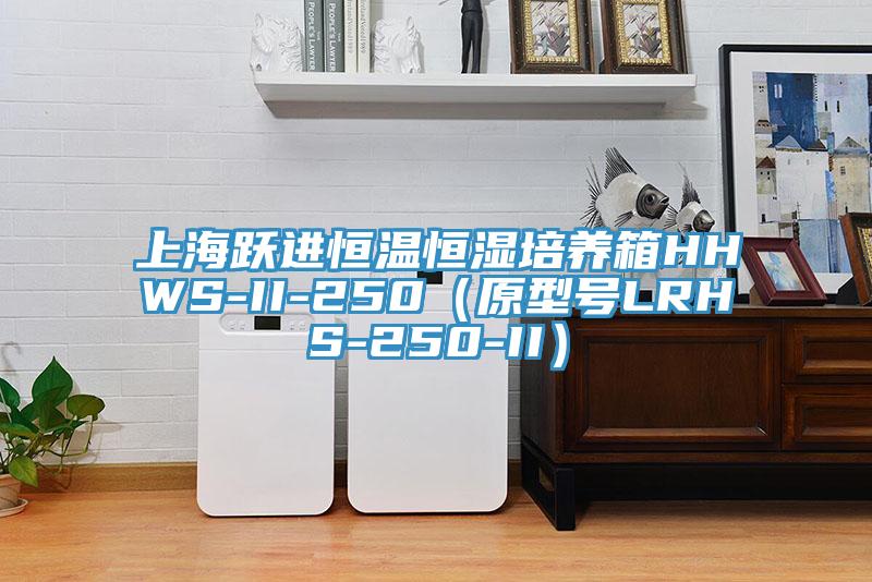上海跃进恒温恒湿培养箱HHWS-II-250（原型号LRHS-250-II）