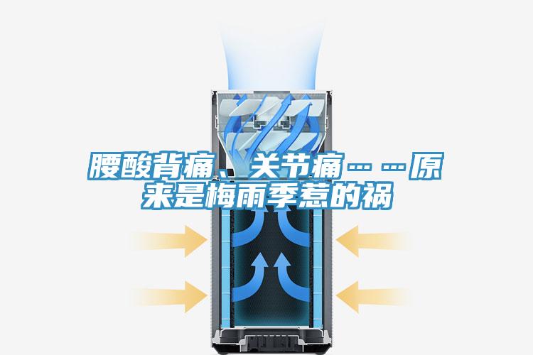腰酸背痛、关节痛……原来是梅雨季惹的祸
