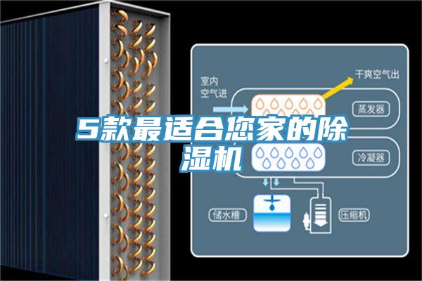5款最适合您家的除湿机